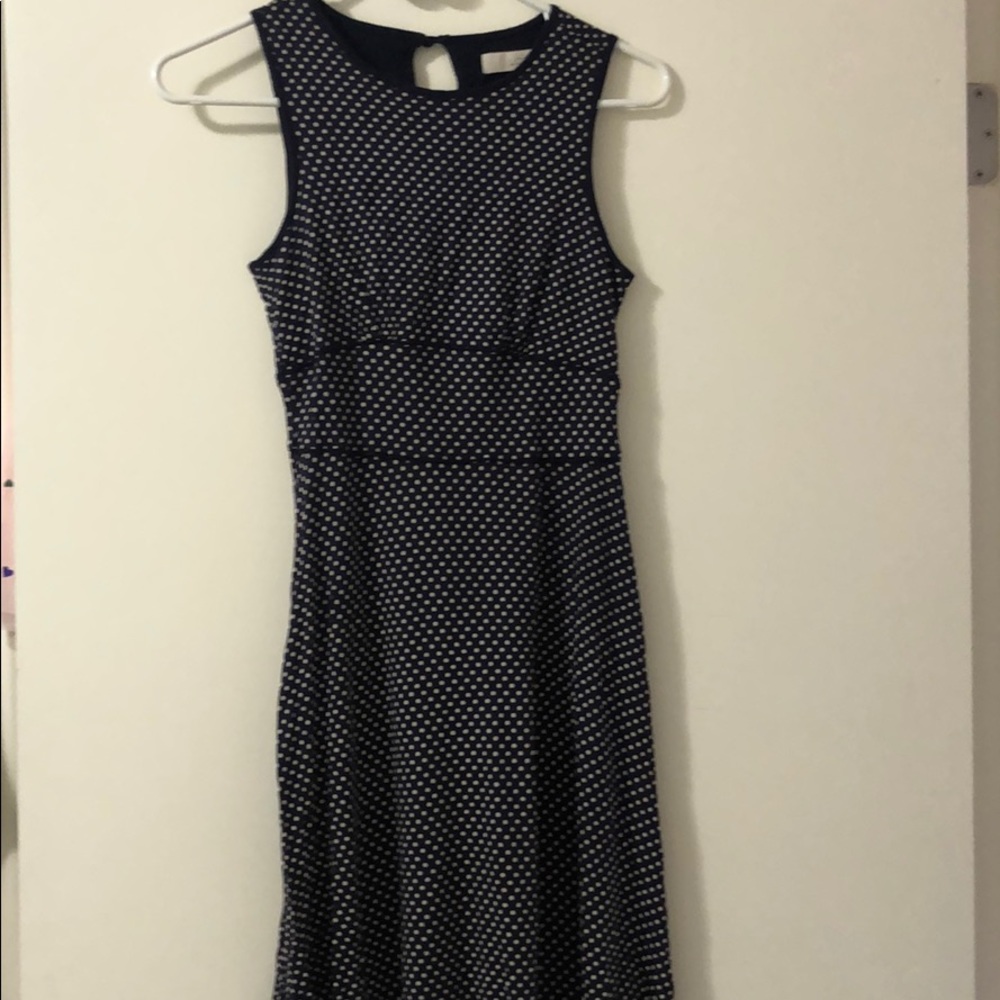Loft navy polka dot dress
